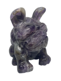 Dream Amethyst Dog