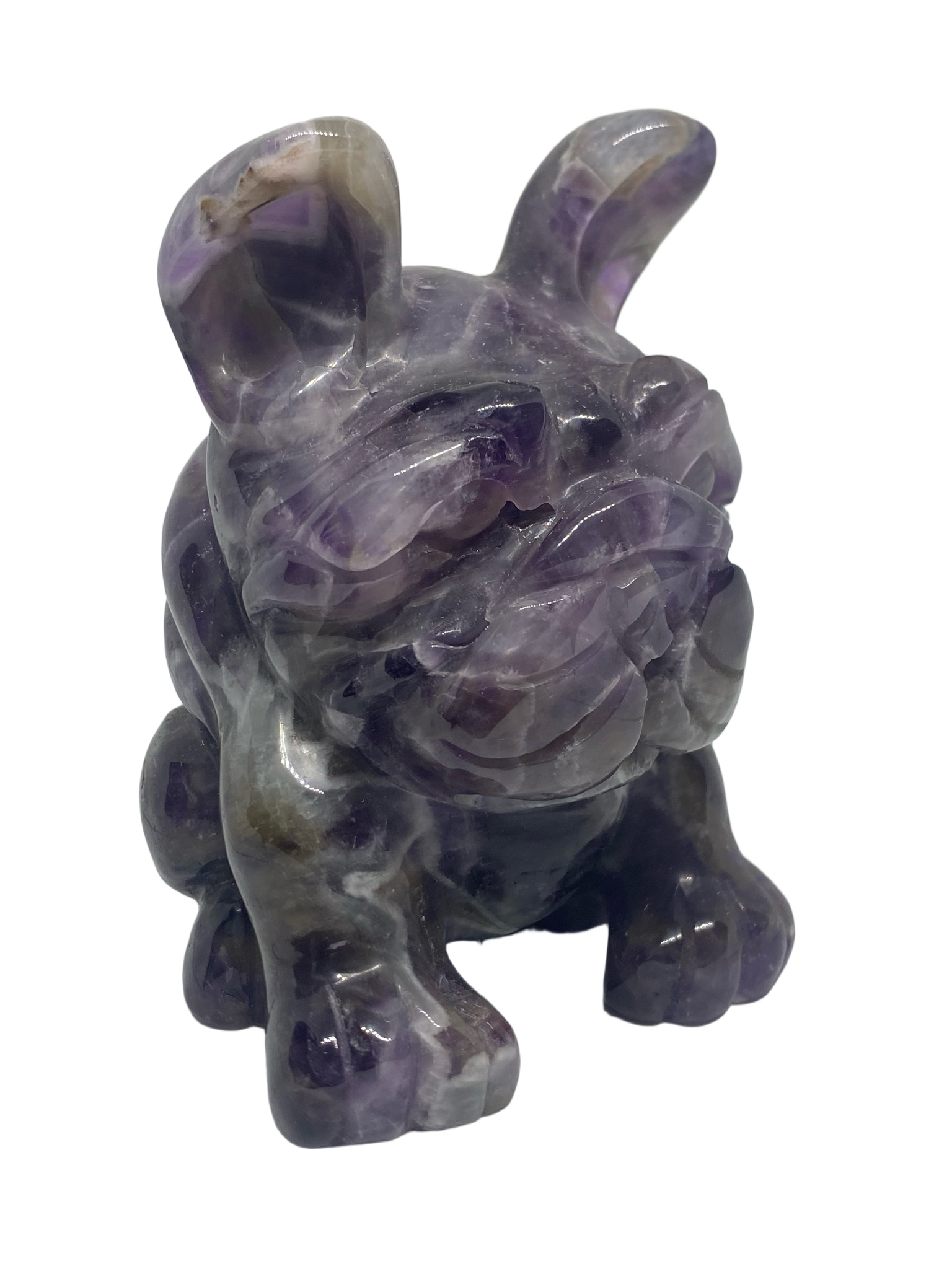Dream Amethyst Dog