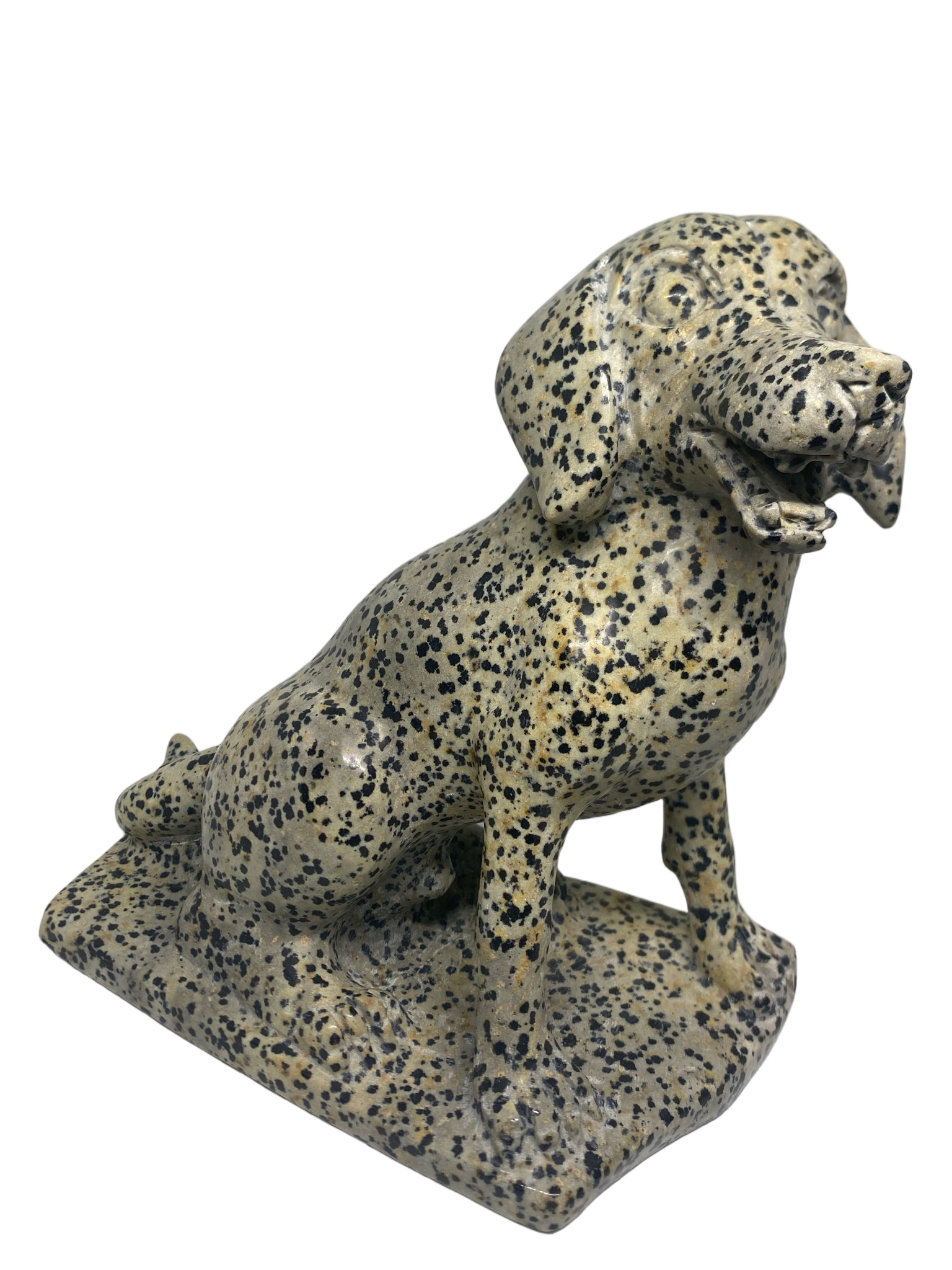 Dalmatian Jasper Dog