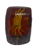 Crab in resin