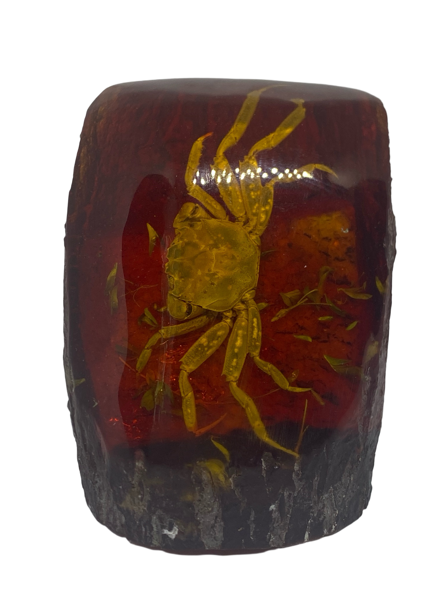 Crab in resin