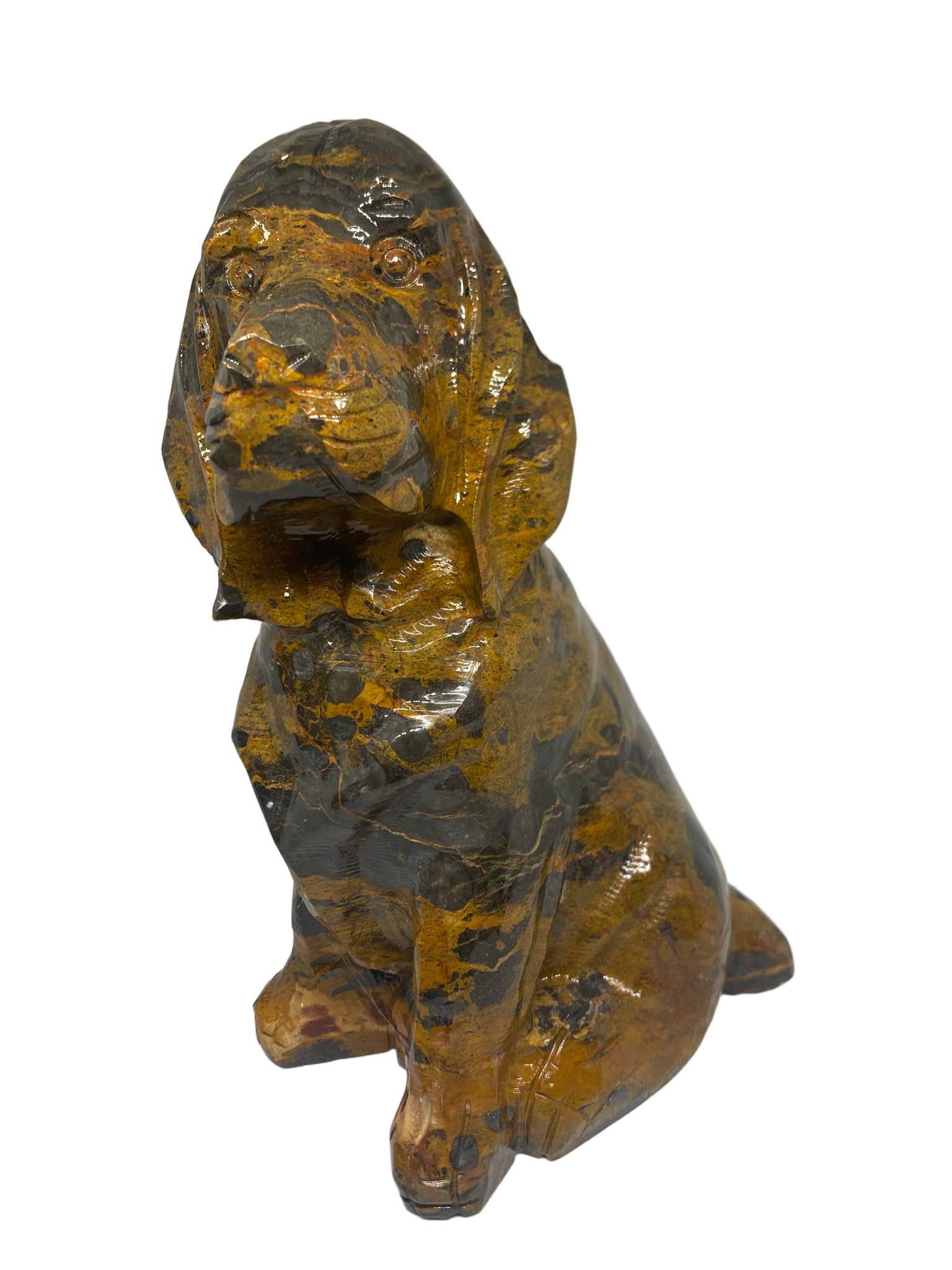 Cappuccino Jasper Dog