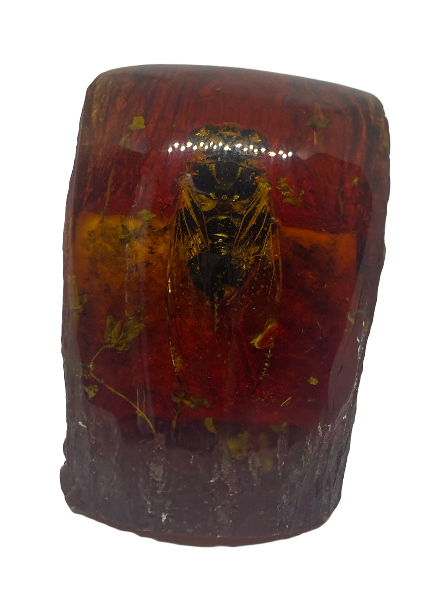 Bee in resin