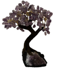 Amethyst Bonsai Tree