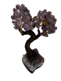 Amethyst Bonsai Tree