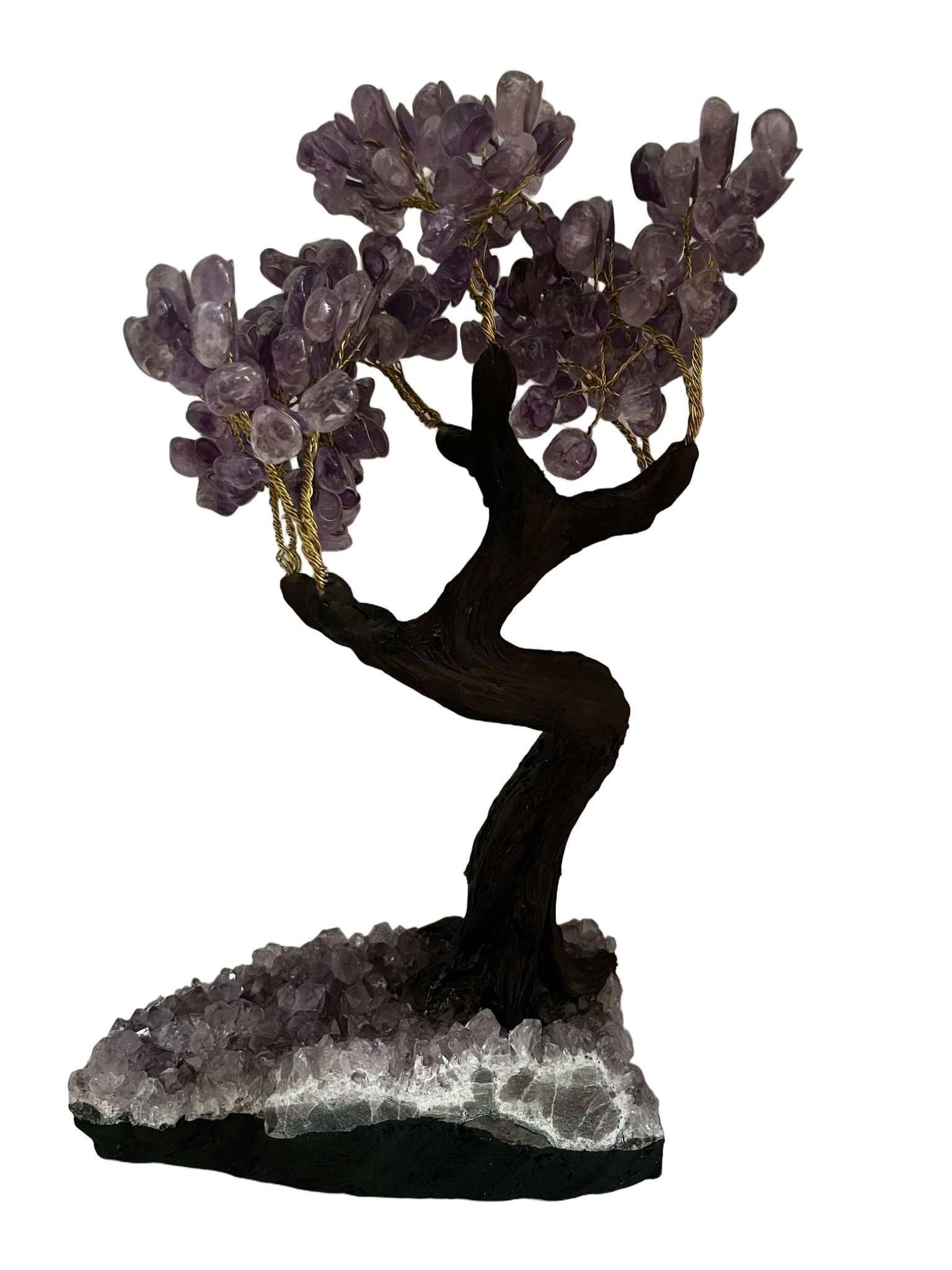 Bonsai Tree