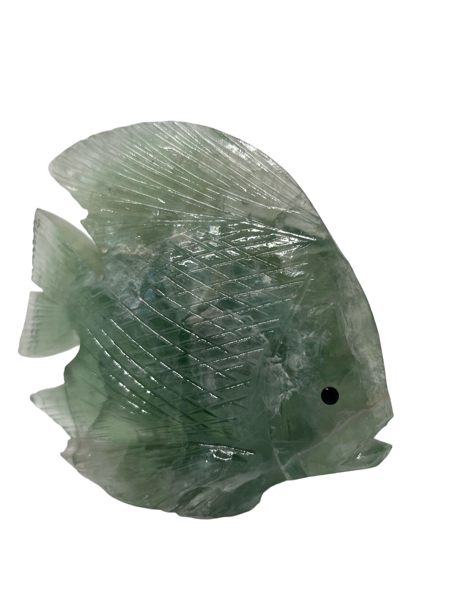 Fluorite Fish